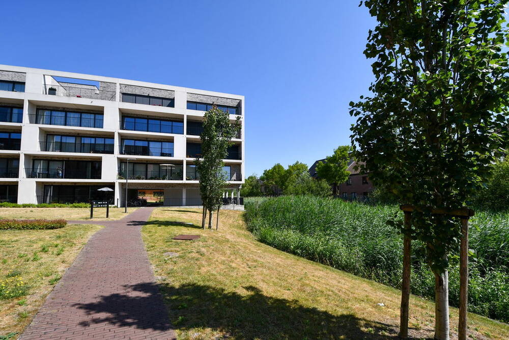 Penthouse te  huur in Eeklo 9900 825.00€ 2 slaapkamers 92.00m² - Zoekertje 279515