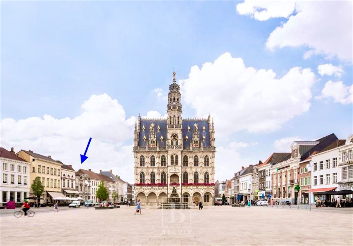 Commerciële ruimte te  koop in Oudenaarde 9700 1295000.00€ 12 slaapkamers 1000.00m² - Zoekertje 280123