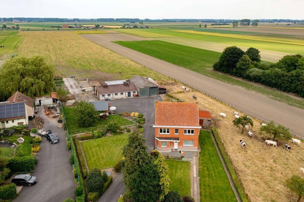 Boerderij te  koop in Waterland-Oudeman 9988 0.00€  slaapkamers 225.00m² - Zoekertje 150902