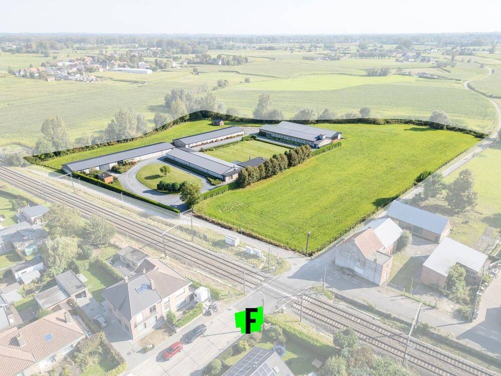 Handelszaak te  koop in Wichelen 9260 1899000.00€ 3 slaapkamers 210.00m² - Zoekertje 234530