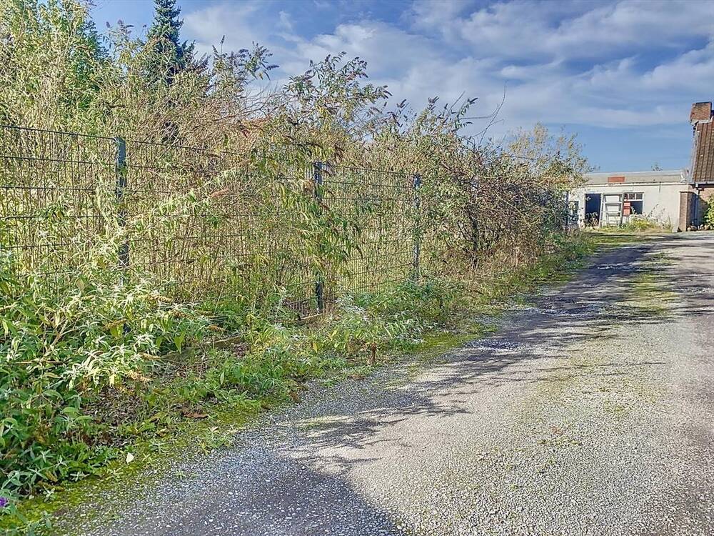 Grond te  koop in Bellem 9881 289000.00€  slaapkamers 0.00m² - Zoekertje 295517